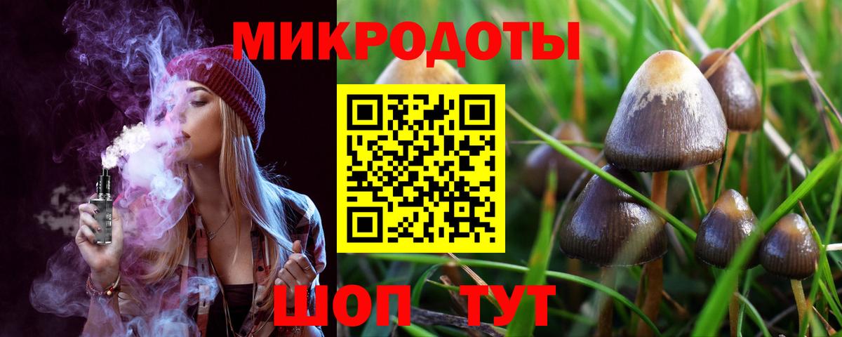 Галлюциногенные грибы MAGIC MUSHROOMS Балтийск