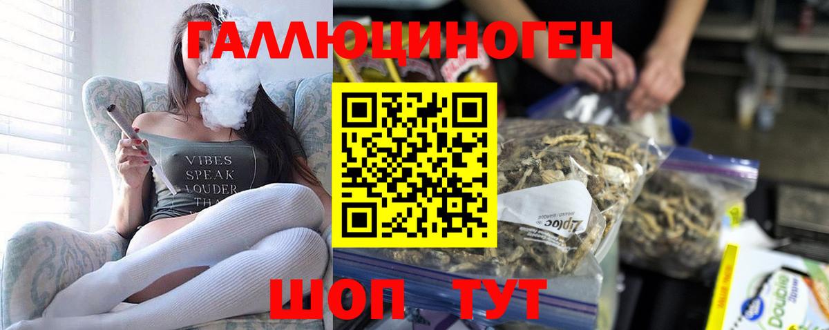 Балтийск  Псилоцибиновые грибы Cubensis  Вход с VPN 