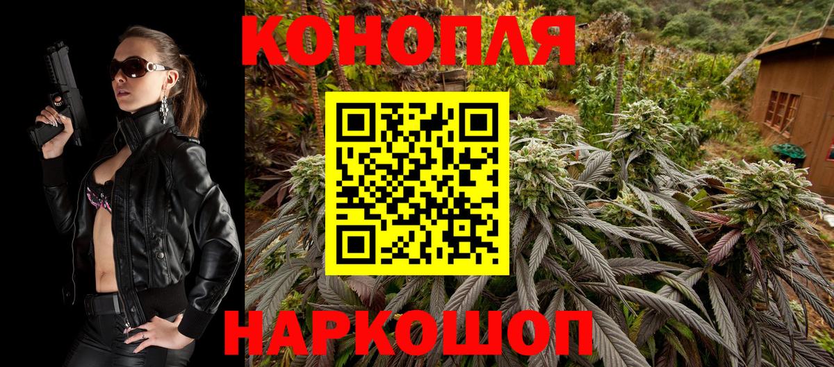 МАРИХУАНА конопля Балтийск